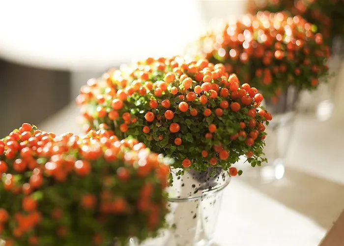 Eiffel Turenne 3* Paris